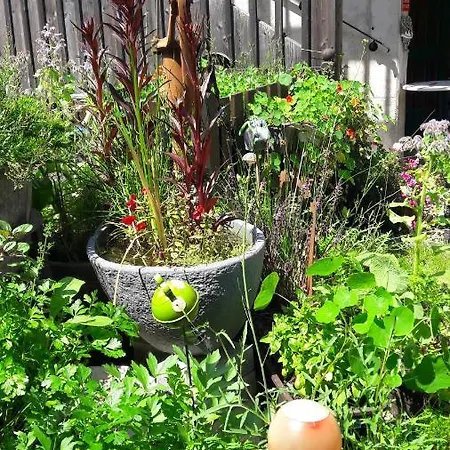 Altes Hammerherrenhaus 3* Übelbach