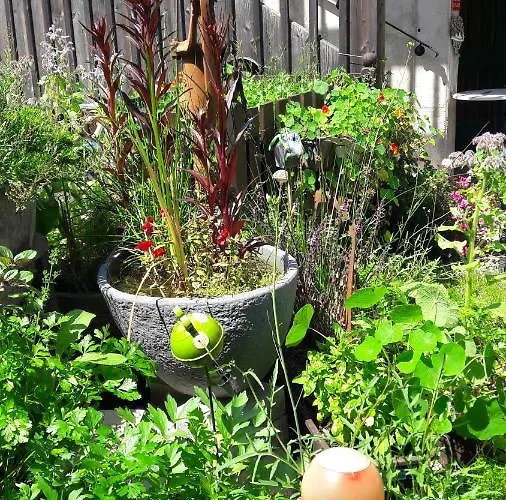 Altes Hammerherrenhaus 3* Übelbach