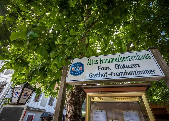 Altes Hammerherrenhaus 3* Übelbach